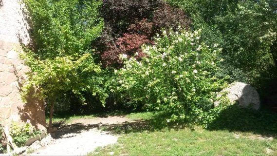 Casas rurales Molino del Marqués Casas rurales Molino del Marqués